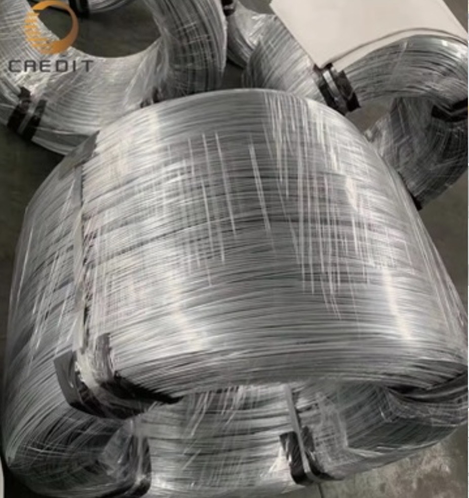 655bcdae-7693-4ee5-9f55-243706cbe663_spirale_di_filo_d'acciaio_zinco-plastificato_prodotto_finito.jpg